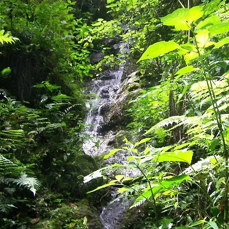 Reserva Natural Cerro Alto Empalme Exterior photo