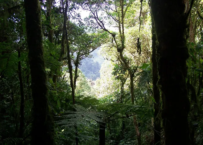 Reserva Natural Cerro Alto