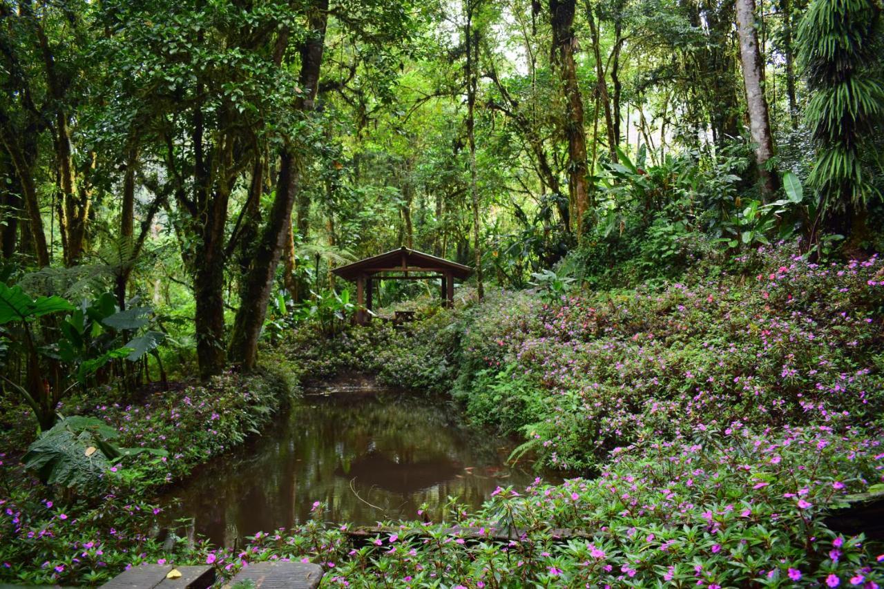 Reserva Natural Cerro Alto *