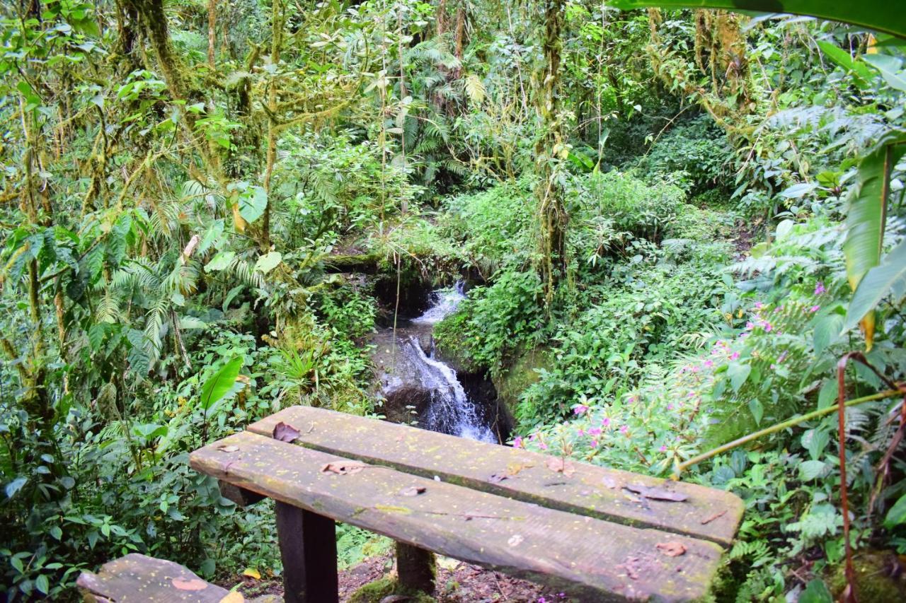 Reserva Natural Cerro Alto Country house