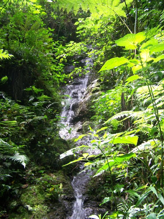 Reserva Natural Cerro Alto Country house