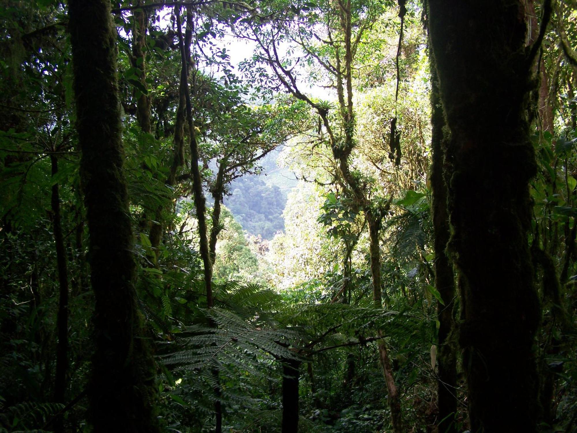 Country house Reserva Natural Cerro Alto *