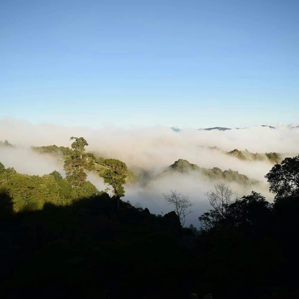 Reserva Natural Cerro Alto *